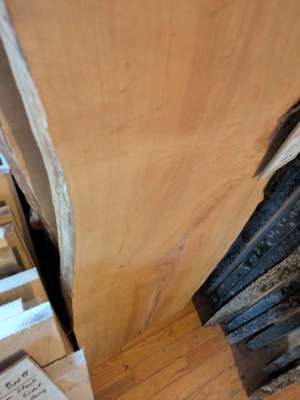 Holzbohle mit Baumkante