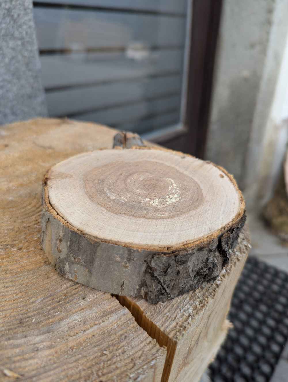Baumscheiben klein (verschiedene Holzarten)
