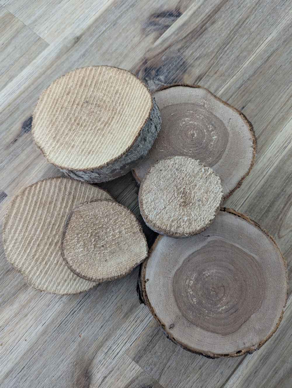 Baumscheiben klein (verschiedene Holzarten)