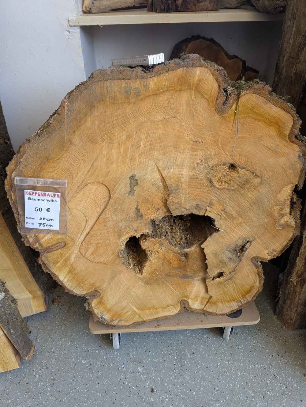 Baumscheibe groß (Nr.1)